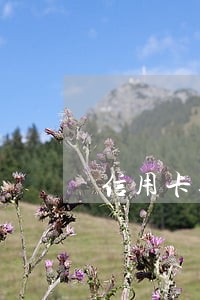 信用卡逾期到单位核查合理吗 信用卡逾期到单位核查合理吗