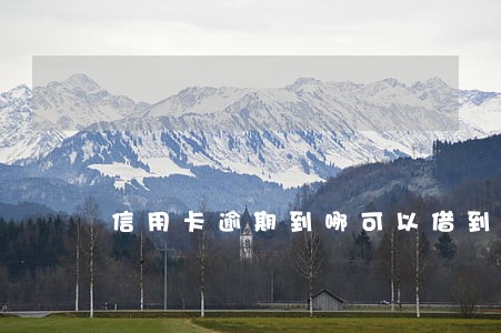 信用卡逾期到哪可以借到款 信用卡逾期到哪可以借到款