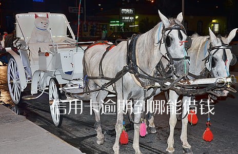 信用卡逾期到哪能借钱 信用卡逾期到哪能借钱
