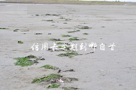 信用卡逾期到哪自首 信用卡逾期到哪自首