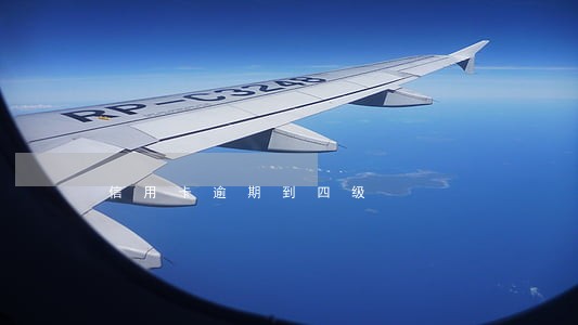 信用卡逾期到四级 信用卡逾期到四级