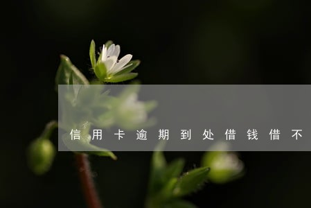 信用卡逾期到处借钱借不到
