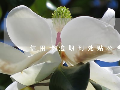 信用卡逾期到处贴公告嘛 信用卡逾期到处贴公告嘛