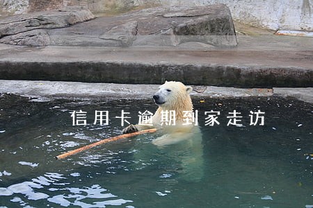 信用卡逾期到家走访