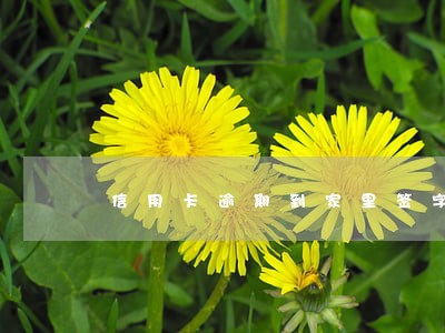 信用卡逾期到家里签字吗 信用卡逾期到家里签字吗
