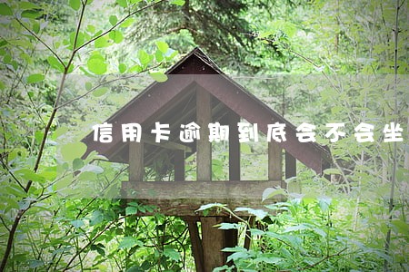 信用卡逾期到底会不会坐牢 信用卡逾期到底会不会坐牢