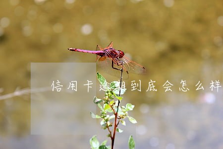 信用卡逾期到底会怎么样