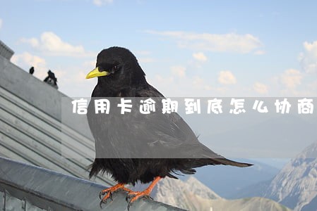 信用卡逾期到底怎么协商啊