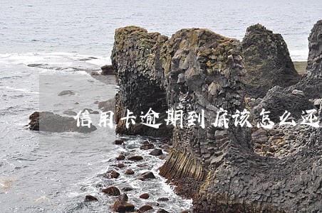 信用卡逾期到底该怎么还 信用卡逾期到底该怎么还