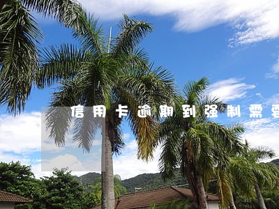 信用卡逾期到强制需要多久 信用卡逾期到强制需要多久