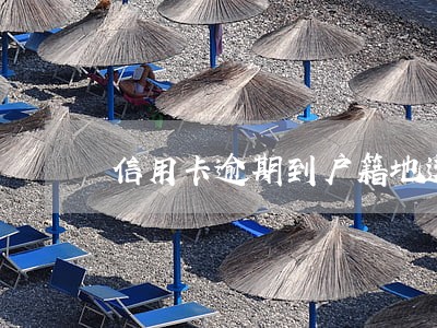 信用卡逾期到户籍地送资料 信用卡逾期到户籍地送资料