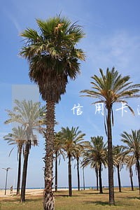 信用卡逾期到时候利息怎么算 信用卡逾期到时候利息怎么算
