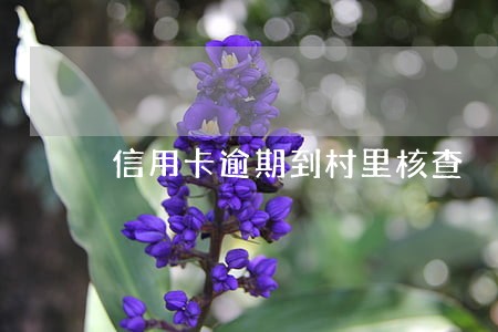信用卡逾期到村里核查 信用卡逾期到村里核查