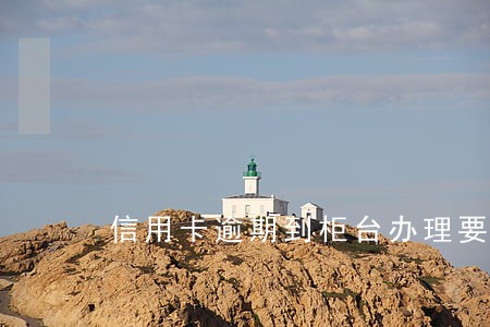 信用卡逾期到柜台办理要准备什么