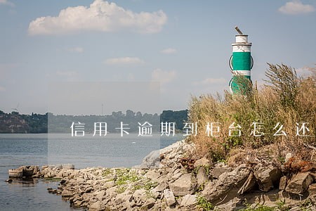 信用卡逾期到柜台怎么还款 信用卡逾期到柜台怎么还款