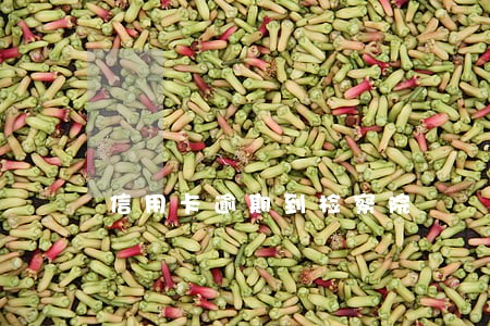 信用卡逾期到检察院