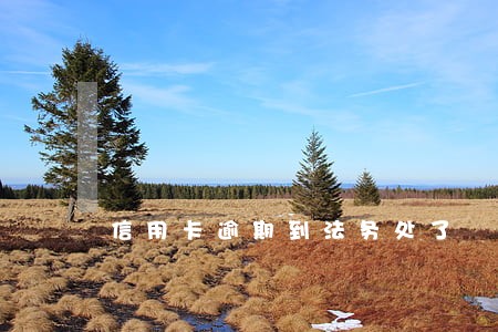 信用卡逾期到法务处了