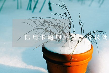 信用卡逾期到法务阶段处理 信用卡逾期到法务阶段处理