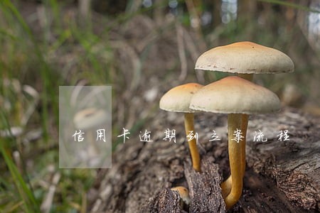 信用卡逾期到立案流程 信用卡逾期到立案流程