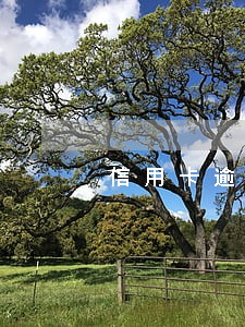 信用卡逾期到访 信用卡逾期到访