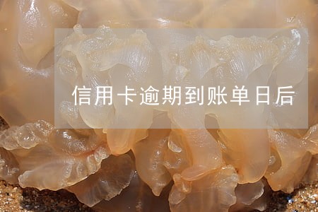 信用卡逾期到账单日后 信用卡逾期到账单日后