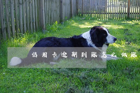 信用卡逾期到账怎么做账 信用卡逾期到账怎么做账