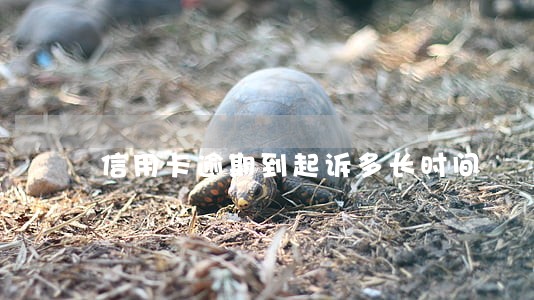 信用卡逾期到起诉多长时间 信用卡逾期到起诉多长时间