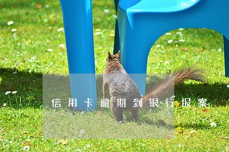 信用卡逾期到银行报案 信用卡逾期到银行报案