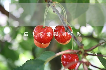 信用卡逾期刷卡吗 信用卡逾期刷卡吗