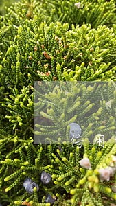 信用卡逾期刷卡显示暂不支持 信用卡逾期刷卡显示暂不支持