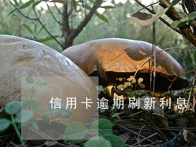 信用卡逾期刷新利息