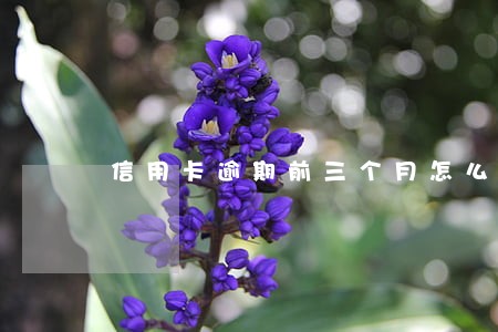 信用卡逾期前三个月怎么办 信用卡逾期前三个月怎么办