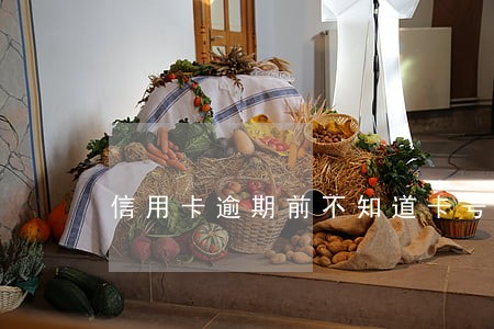 信用卡逾期前不知道卡号怎么办 信用卡逾期前不知道卡号怎么办