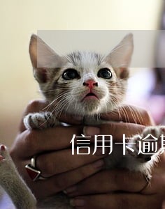 信用卡逾期前可以协商分期吗 信用卡逾期前可以协商分期吗