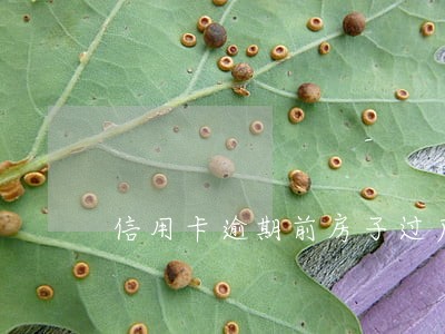 信用卡逾期前房子过户给儿子