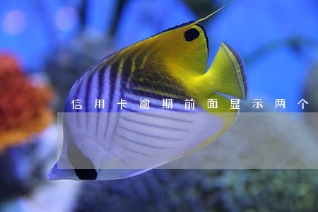 信用卡逾期前面显示两个星 信用卡逾期前面显示两个星