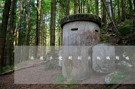 信用卡逾期副卡也收钱吗 信用卡逾期副卡也收钱吗