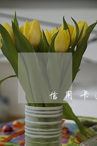 信用卡逾期副卡年费不交 信用卡逾期副卡年费不交