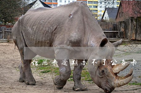 信用卡逾期办不了公务卡 信用卡逾期办不了公务卡