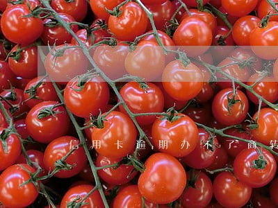 信用卡逾期办不了商转公 信用卡逾期办不了商转公