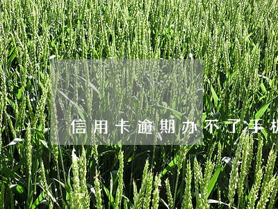 信用卡逾期办不了手机分期 信用卡逾期办不了手机分期