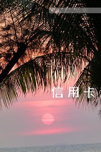 信用卡逾期办什么借记卡