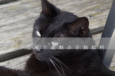 信用卡逾期办分期材料 信用卡逾期办分期材料