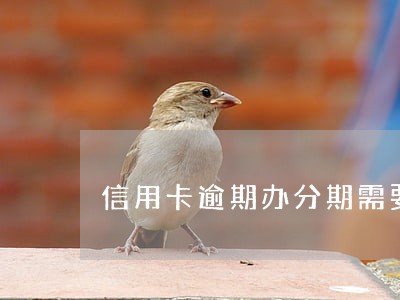 信用卡逾期办分期需要什么材料