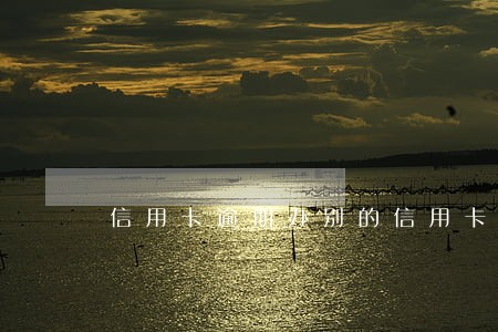 信用卡逾期办别的信用卡吗