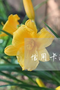 信用卡逾期办卡能下来吗