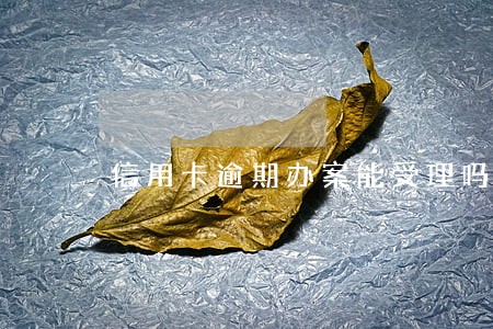信用卡逾期办案能受理吗