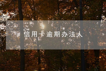信用卡逾期办法人 信用卡逾期办法人