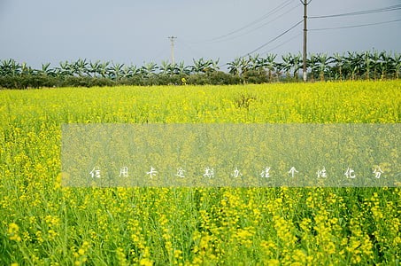 信用卡逾期办理个性化分期 信用卡逾期办理个性化分期
