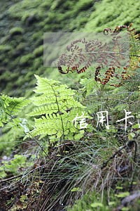 信用卡逾期办理什么网贷可以 信用卡逾期办理什么网贷可以